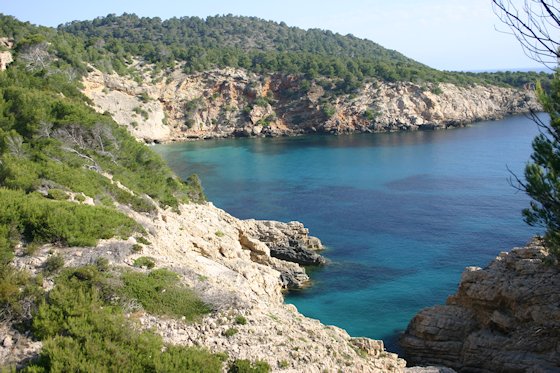 Ibizas Strände: Cala de Sant Vicent, Punta Grossa Bild-1