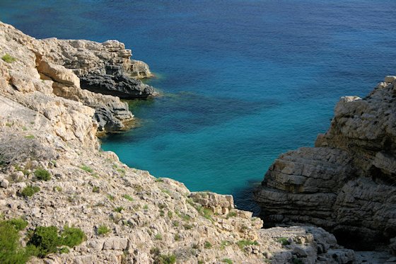 Ibizas Strände: Cala de Sant Vicent, Punta Grossa Bild-3