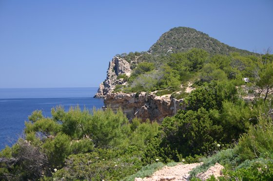 Ibizas Strände: Punta de sa Galera, Bild-4