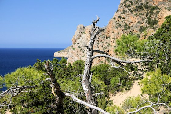 Wandern auf Ibiza - Zum Steinbruch Atlantis, Bild-2